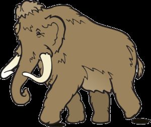 How To Mastodon: The Transition